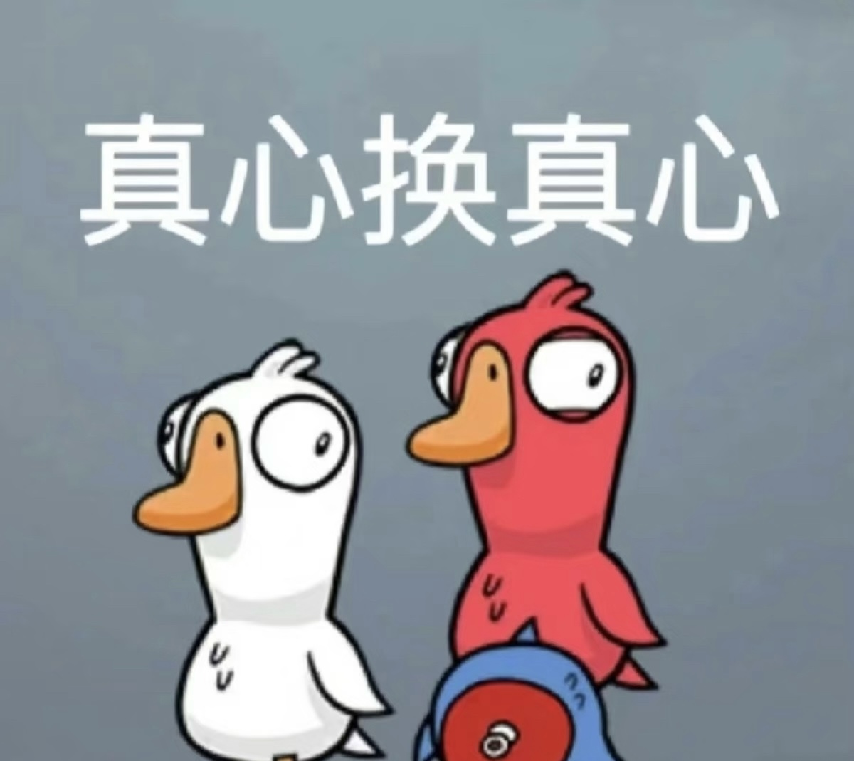 《鹅鸭杀》网络问题终极解决方案 文章配图